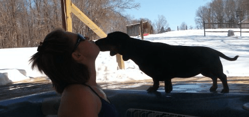 screen-shot-2017-02-12-at-8-19-47-am