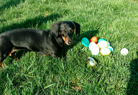 Screen Shot 2017-04-20 at 5.15.50 PM