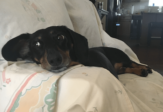 Screen Shot 2017-05-21 at 9.10.22 AM