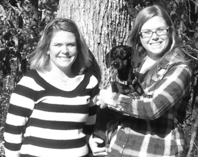 Screen Shot 2017-06-01 at 9.17.23 PM