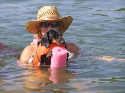 1936679_1117577457963_4696962_n