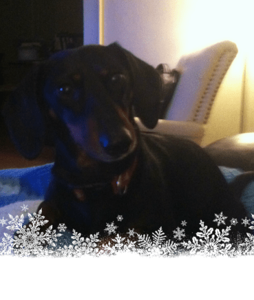 Screen Shot 2017-12-14 at 7.03.25 PM