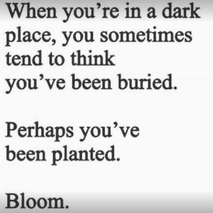 Screen Shot 2018-03-18 at 8.47.06 PM