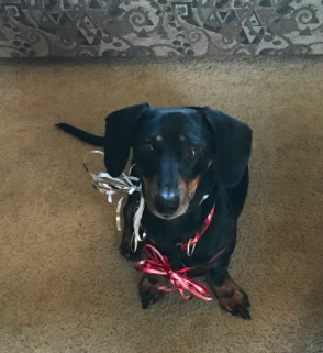 Screen Shot 2018-04-17 at 9.34.55 AM