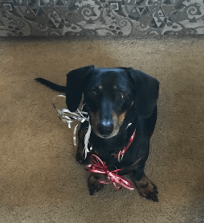 Screen Shot 2018-04-17 at 9.34.55 AM