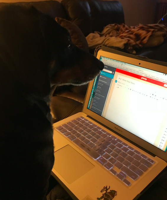 Screen Shot 2018-05-03 at 9.02.46 AM