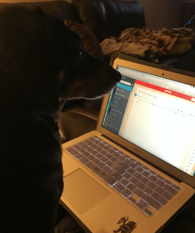 Screen Shot 2018-05-03 at 9.02.46 AM