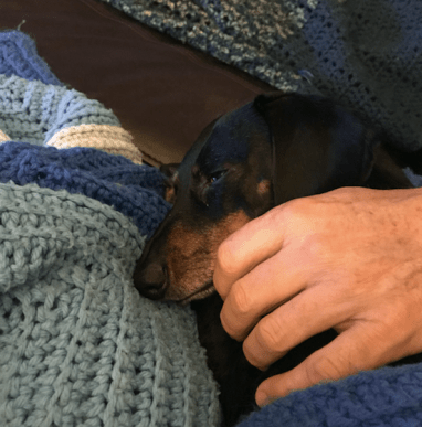 Screen Shot 2018-08-25 at 3.40.33 PM