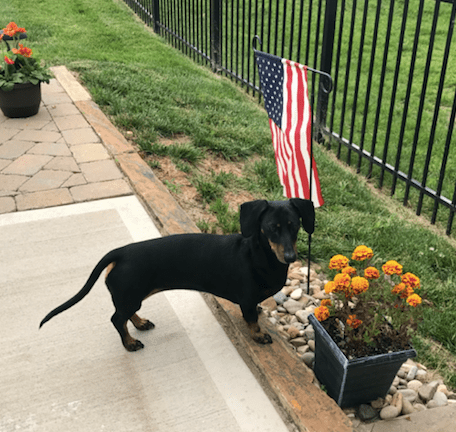 Screen Shot 2018-09-07 at 1.23.08 PM